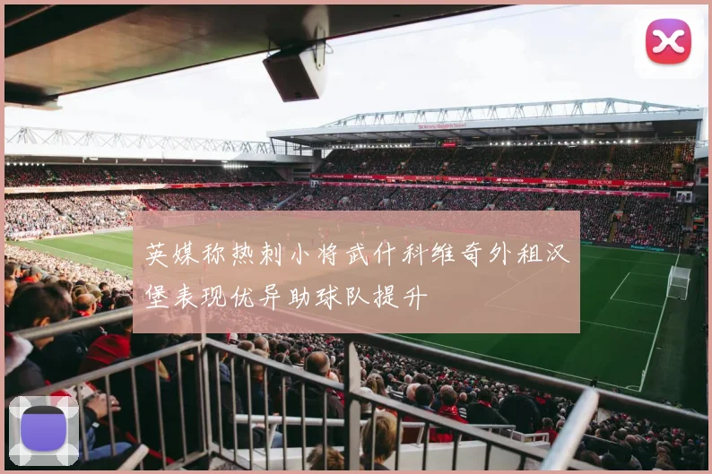 英媒称热刺小将武什科维奇外租汉堡表现优异助球队提升