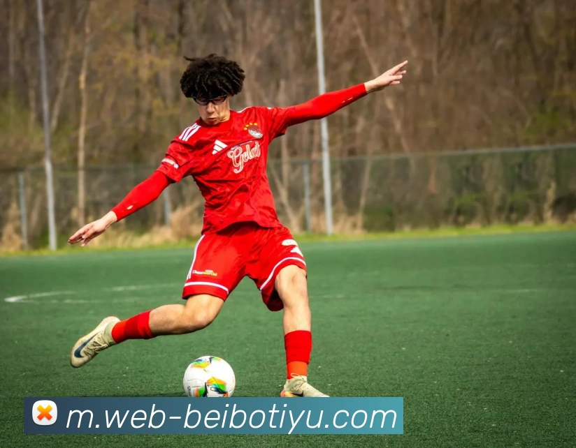 字母哥坚信球队文化应以拼搏为核心拒绝借口与伤病影响